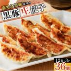 ふるさと納税 鹿児島市 鹿児島黒豚使用の黒豚餃子 36個　K202-001_01