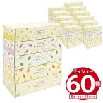 ふるさと納税 可児市 エリエール i:naイーナ petit ティシュー 150W5P×12パック 箱 ボックス