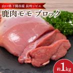 ショッピングふるさと納税 訳あり 不揃い ふるさと納税 下関市 訳あり 不揃い 鹿肉 もも ブロック 約 1kg 冷凍 BM108