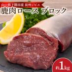 ふるさと納税 下関市 訳あり 不揃い 鹿肉 ロース ブロック 約 1kg 冷凍 BM109