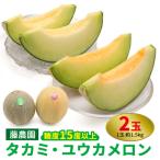 ふるさと納税 つがる市 メロン [タカミ] [ユウカ] 2玉セット [0837]