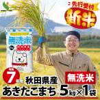 ふるさと納税 大館市 【新米先行受付】令和7年産秋田県産あきたこまち(無洗米)5kg