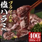 プライム牛 塩ハラミ 計400g