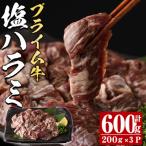 プライム牛 塩ハラミ 計600g