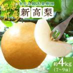 ふるさと納税 都農町 先行予約≪期間限定≫まるみ観光果樹園の『新高梨』(約4kg) なし 果物 フルーツ_T036-002