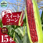 ★2026年6月中旬頃より発送予定★赤いスイートコーン