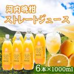 温州みかんストレートジュース 6本×1000ml