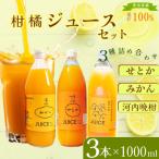 柑橘ジュース セット 3本×1000ml