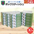 ふるさと納税 境町 【5日以内発送】 境トリニタス応援ボックスティッシュ 400枚(200組)×30箱 日用品 消耗品