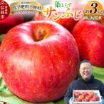 ふるさと納税 弘前市 りんご 葉とらず サンふじ 約3kg カワムラファーム 贈答用|24_kmf-020301