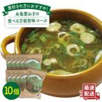 糸島 葉ねぎの食べる 万能 旨味つーぷ 10個