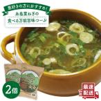 fu.... налог нить остров город нить остров лист лук порей. еда .. универсальный . тест .-.2 шт нить остров город /Carna [ALA047] немедленно сиденье суп мгновенный 