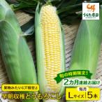 極甘 早朝収穫 とうもろこしLサイズ 300g