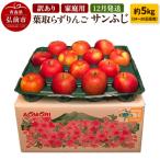 ふるさと納税 弘前市 りんご 訳あり家庭用【年内発送】葉取らず サンふじ 約5kg|24_apc-070501a