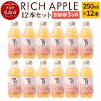 RICH APPLE りんごジュース12本セット