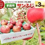 りんご サンふじ 約3kg
