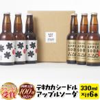 テキカカシードル &amp; アップルソーダ 各330ml×3本