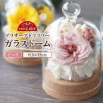 プリザーブドフラワーボックス 13cm箱×1個