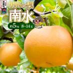 ふるさと納税 男鹿市 【先行受付】男鹿の梨 南水 約5kg 8〜14玉 梨 10月上旬より発送|23_mgm-020501