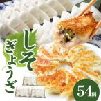 ふるさと納税 大分市 餃子専門店の餃子 しそ餃子 54個入り_A02036