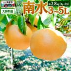 ショッピングふるさと納税 梨 ふるさと納税 男鹿市 【先行受付】男鹿梨「大将梨園」南水 約2.8kg 6〜8玉 3〜5L 梨|23_tsn-020301