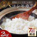 新米コシヒカリ 2kg