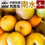 男鹿梨 伊藤梨園の南水 梨 約5kg