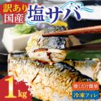 訳あり 塩サバ 切り身 約1kg