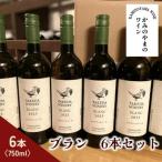 ブラン ド ノワール樽熟成 6本