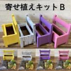 多肉植物 寄せ植えキットB ベンチ型プランター