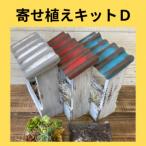 多肉植物 寄せ植えキットD 屋根付きプランター