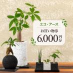 S060-117_エコ アースでご利用可能なお買い物券 6,000円分