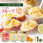 ふるさと納税 糸島市 【全3回定期便/2ヶ月に1回】お楽しみ定期便フルーツバター大1個 糸島正キ[AQA065]