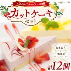 レアチーズケーキ あまおう 日向夏 ケーキ