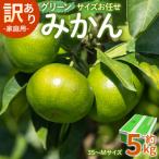訳あり グリーンみかん 約5kg