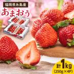 いちご 先行受付 糸島産 春 あまおう 4パック