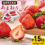 いちご 先行受付 糸島産 春 あまおう 6パック