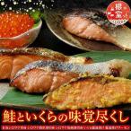 鮭といくらの味覚尽くし B-42001