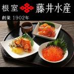 ふるさと納税 根室市 <鮭匠ふじい>いくら・サーモンづくし C-42015
