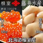 ふるさと納税 根室市 【北海道根室産】いくら醤油漬120g×1P・お刺身帆立貝柱200g A-42048