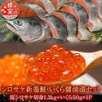 秋鮭新巻鮭1.3kg いくら50g A-42072