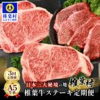 ふるさと納税 椎葉村 【 定期便 全3回 】 月に1回のお楽しみ! 椎葉牛ステーキ定期便 総重量 1,080g