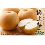 ふるさと納税 国東市 【先行受付】令和7年発送 /辰口農園の橋上梨約5kg(品種_幸水/秋麗)_1018R