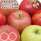 隔月配送 定期便6回 訳あり りんご 5kg