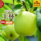 りんご 王林 約5kg