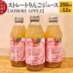 りんごジュース RICH APPLE 12本セット 250ml×12本