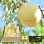 桃 白桃 冬美白 とうびはく 極上1玉 みち 桐箱入り