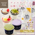 高原アイスクリーム研究所のアイスクリームお楽しみEセット