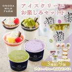 ふるさと納税 高原町 高原アイスクリーム研究所のアイスクリームお楽しみFセット TF825