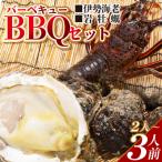 ふるさと納税 香南市 海鮮バーベキューセット(伊勢海老・岩牡蠣) 2〜3人前 冷凍 eb-0015